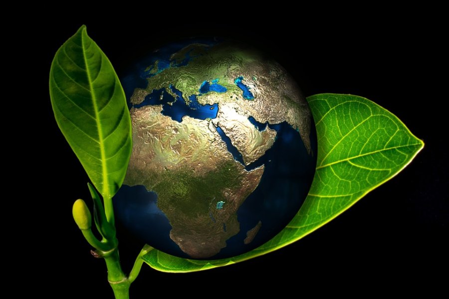 5 Tipps für Umweltschutz - Kleine Schritte